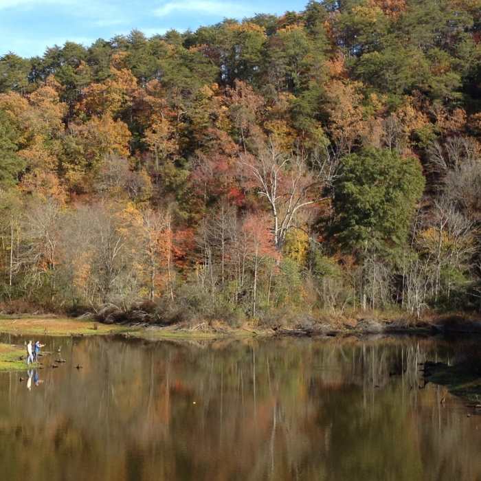 Near Chief Ladiga Trail