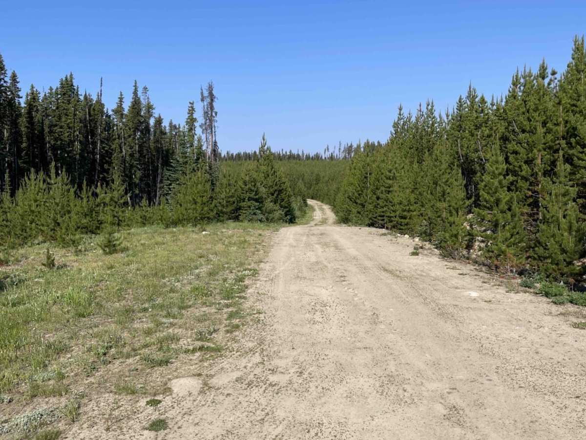 97C to Creighton Lake trail photo