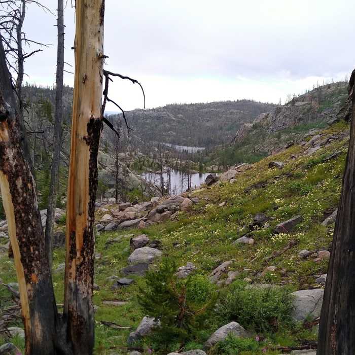 Near Lake Ethel Trail #7164