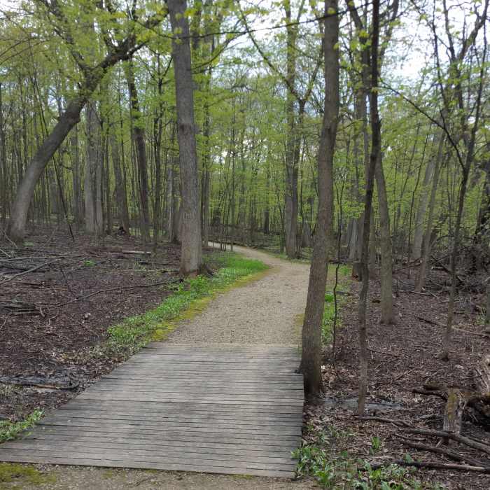 Beginning of Ski/Hiking Trail Near Coral Woods Perimeter