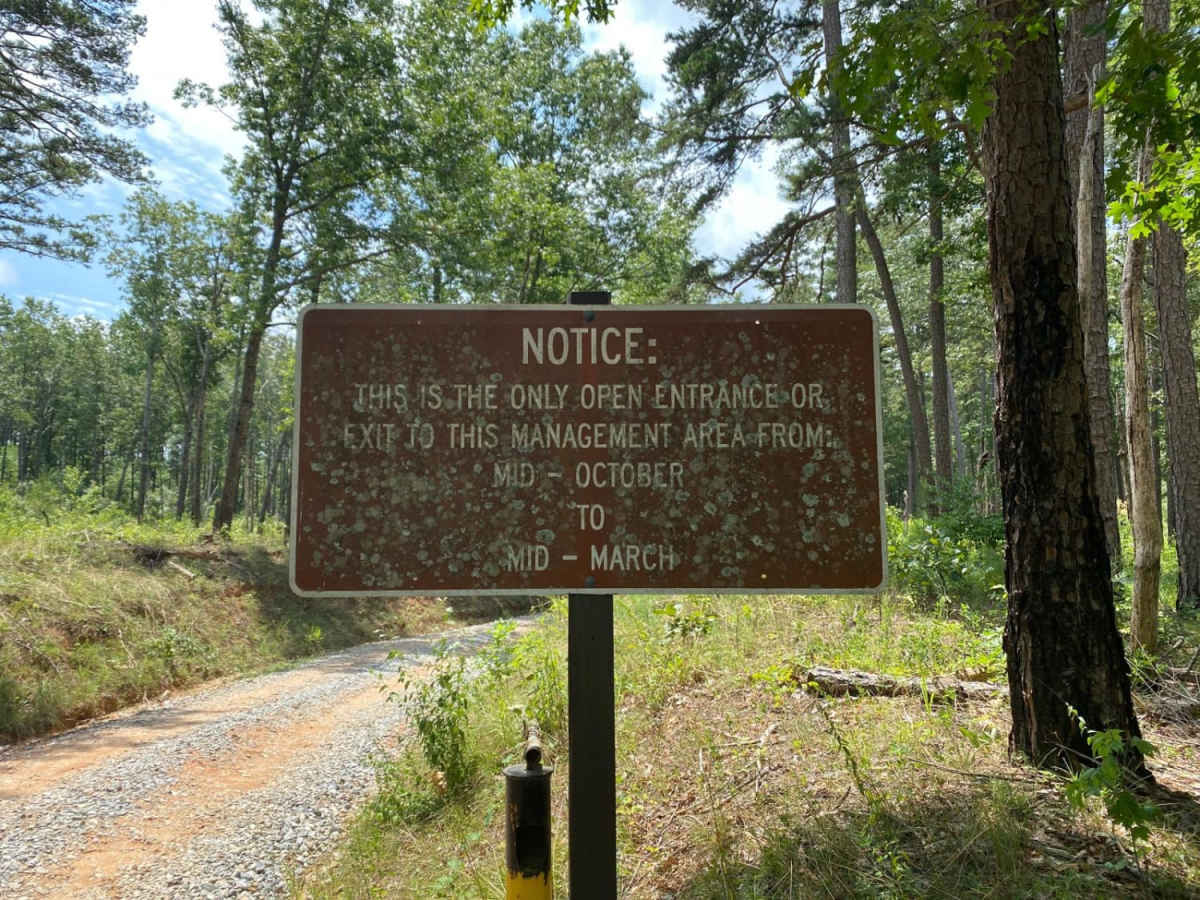 Guard Camp Road photo 3