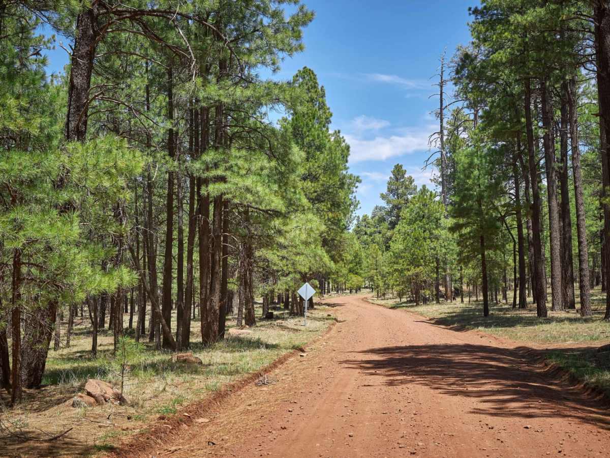 Sheep Springs Road photo 2
