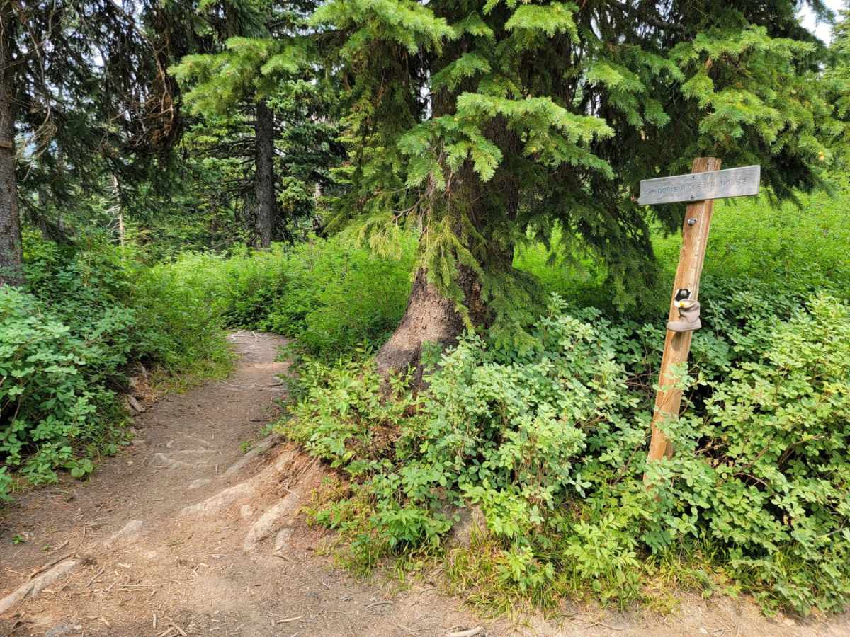 Aurora Basin Road trail photo
