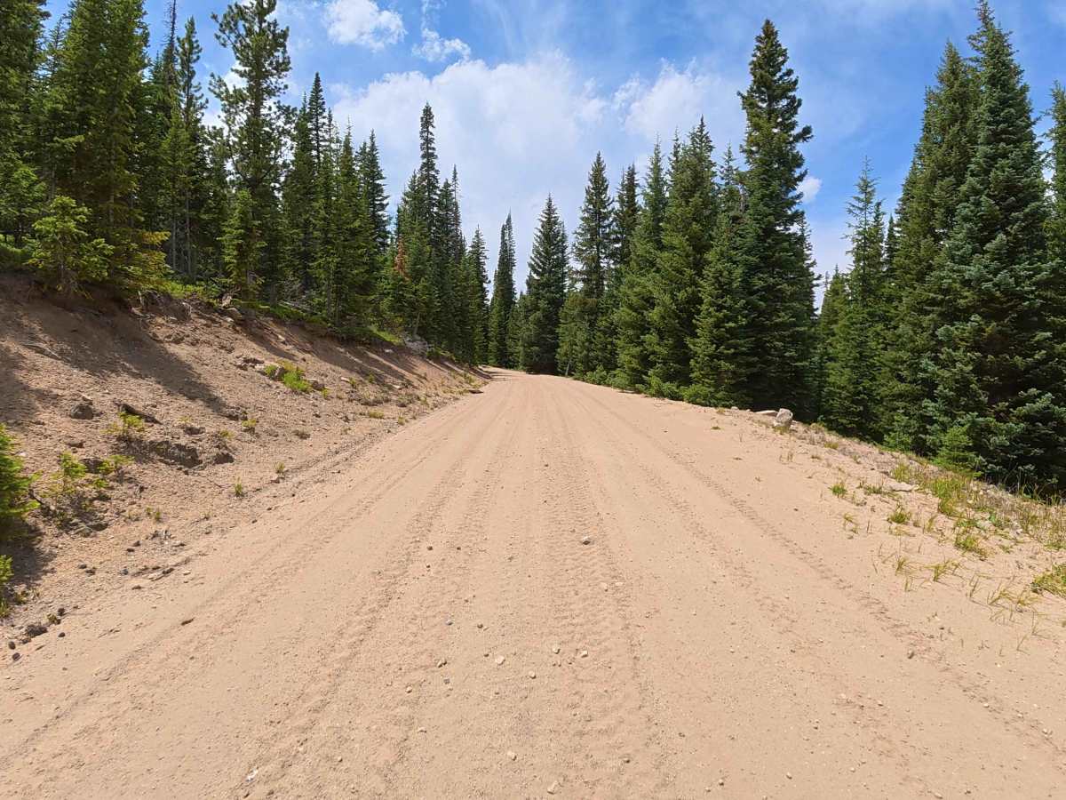 High Rock Creek Road - FS 263 photo 3