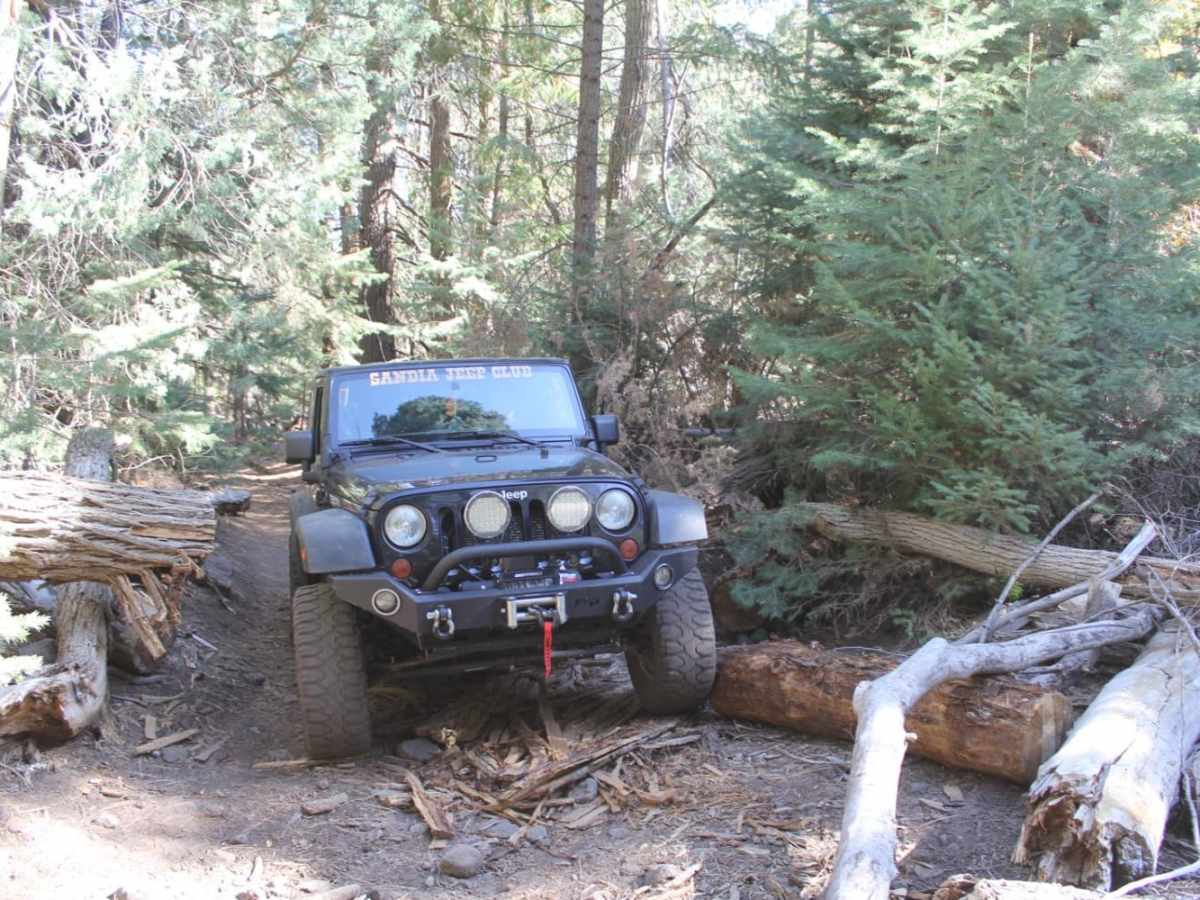 Rio Del Oso photo 4