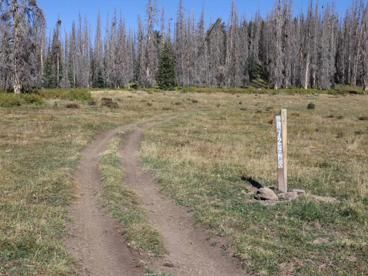Bennet Creek 1 trail photo