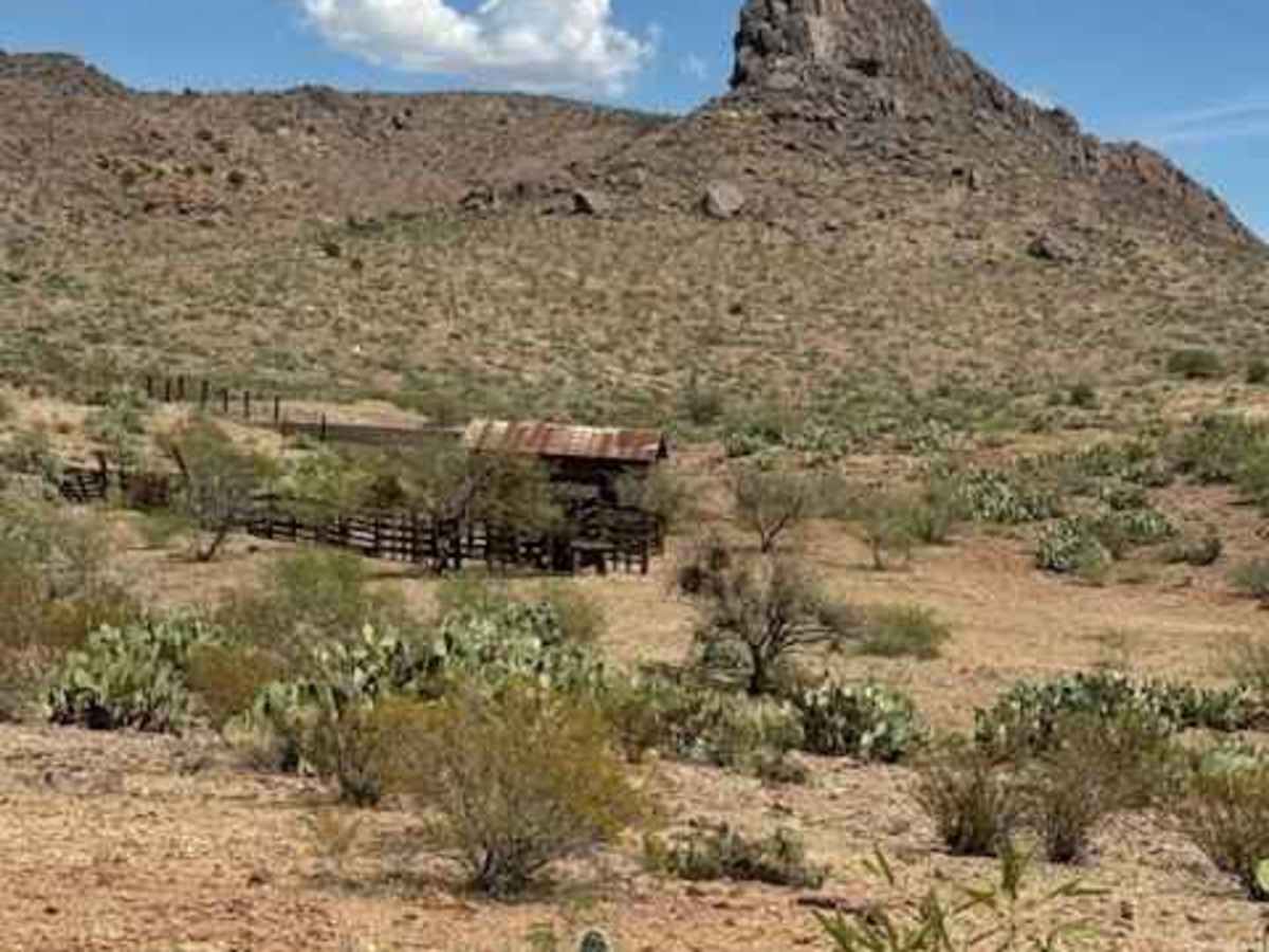 BLM PE1137 photo 4