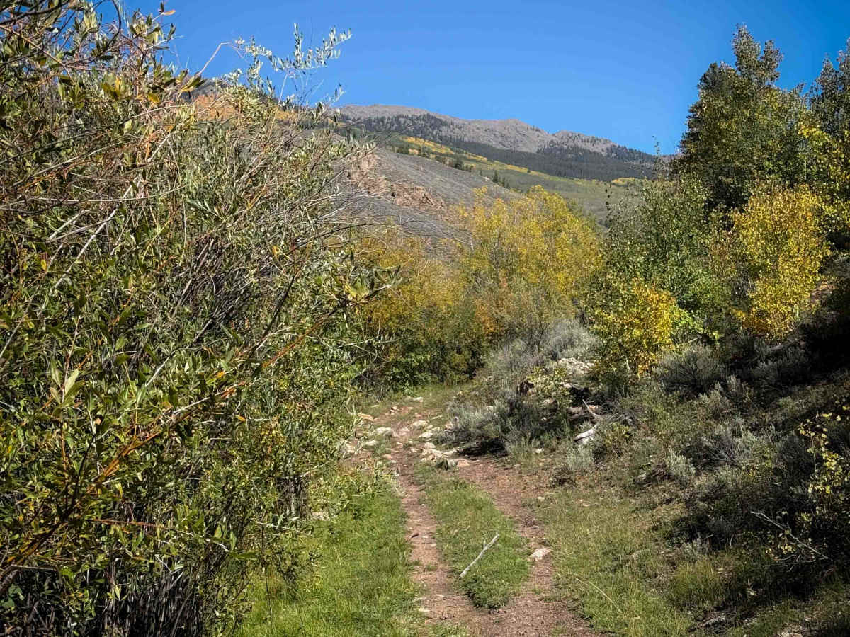Alder Creek - FS 577  photo 2