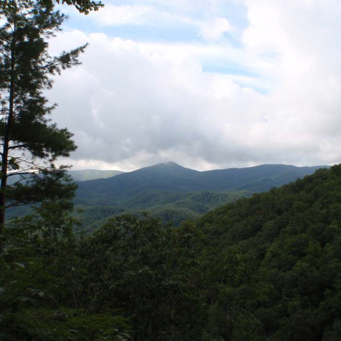 Vista on Laurel Falls Trail. Overlooking The Smoky Mountains. Near Laurel Falls to Cove Mountain Fire Tower