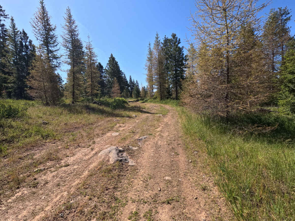 Vaca Loop - Trail 204 photo 5