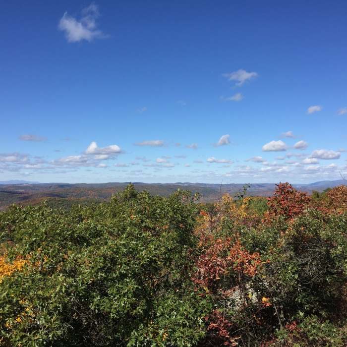 Near Macedonia Ridge Trail