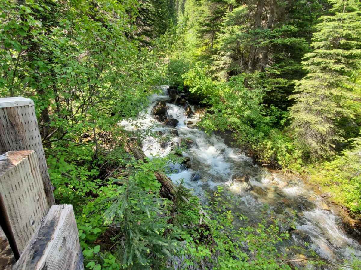 Red Meadow Creek photo 4