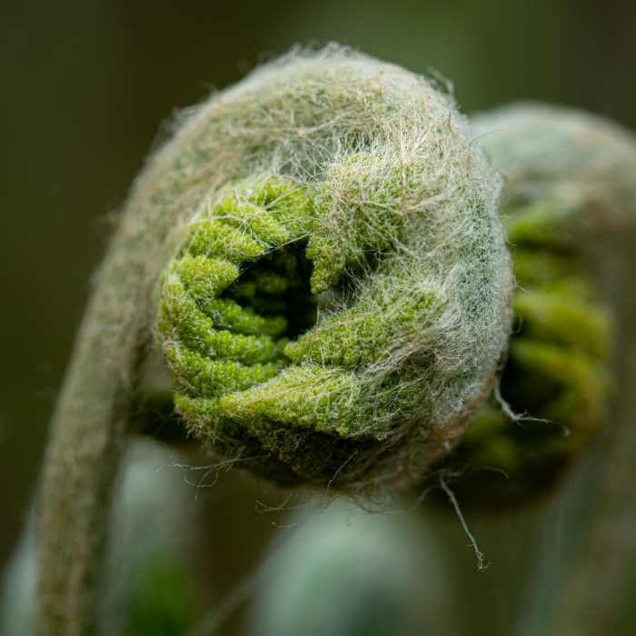 Near Cobblestone Bridge via Jordan Stream Path Near Cobblestone Bridge via Jordan Stream Path