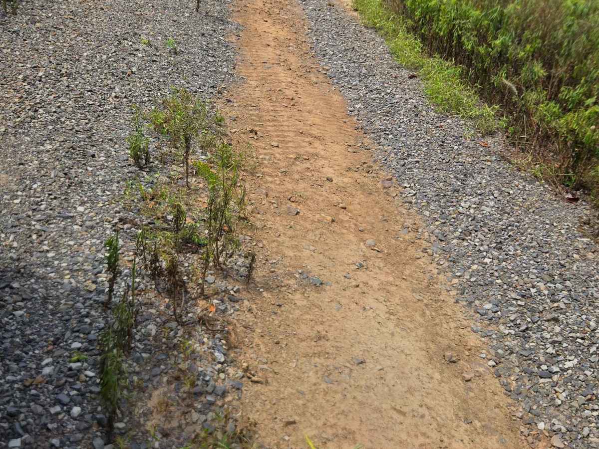 Line Ridge Fork photo 5
