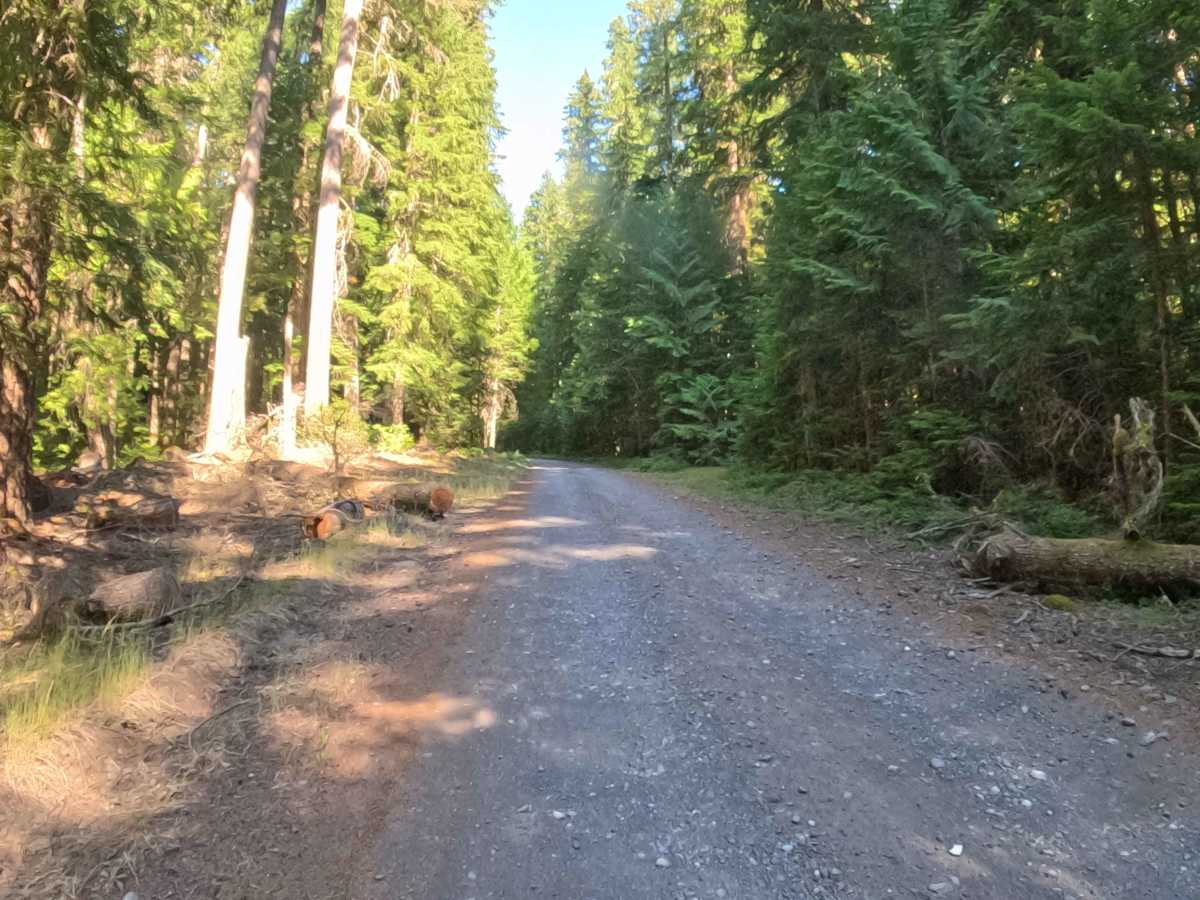 Pamelia Creek - FS 2246000  photo 5