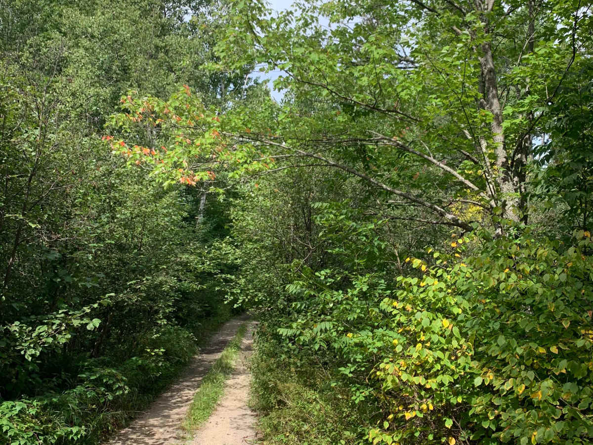 Godlevske Trail trail photo