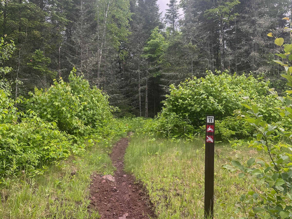 Alger Grade - Trail 11 trail photo
