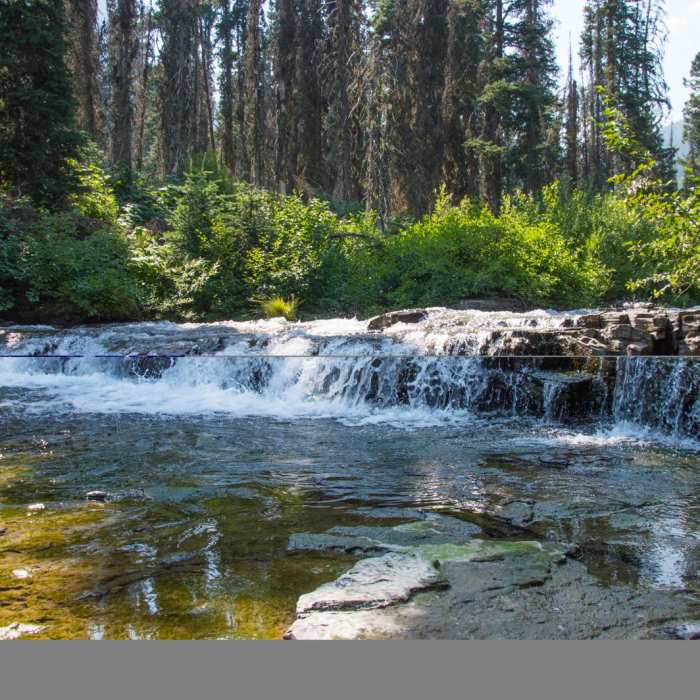 Near Florence Falls from Gunsight Pass Trailhead
