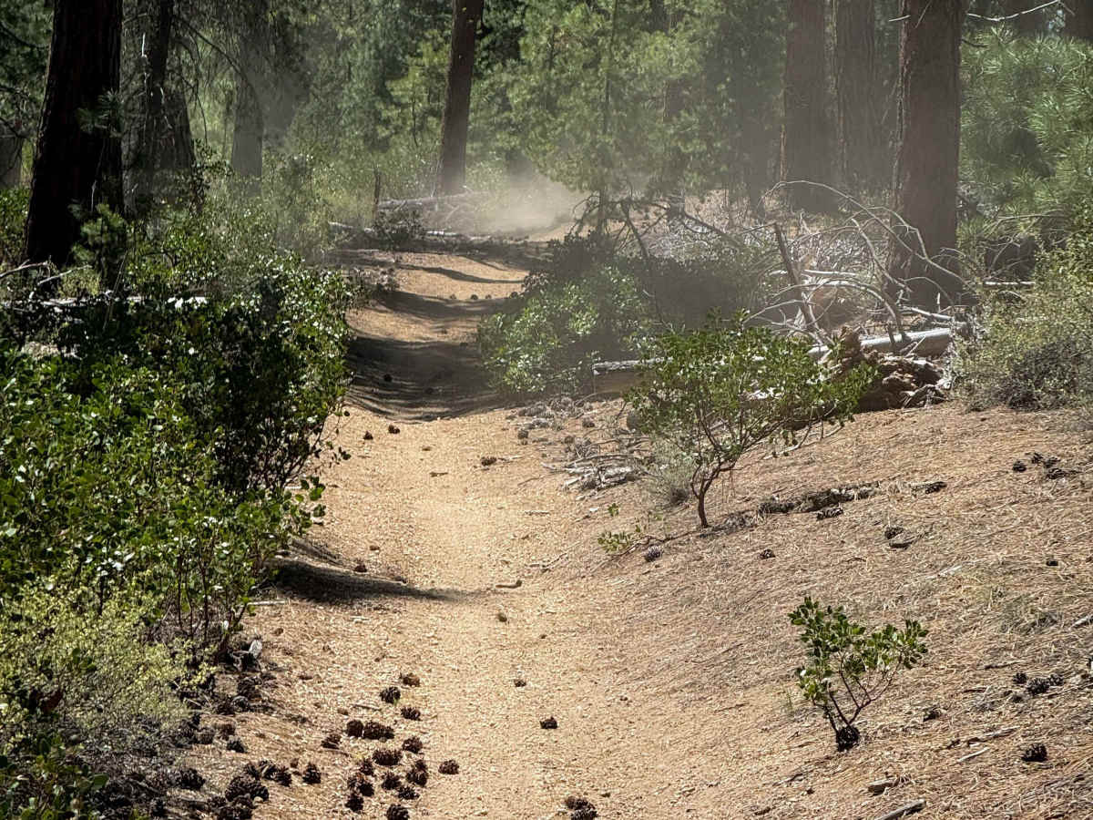 Trail 14   photo 3