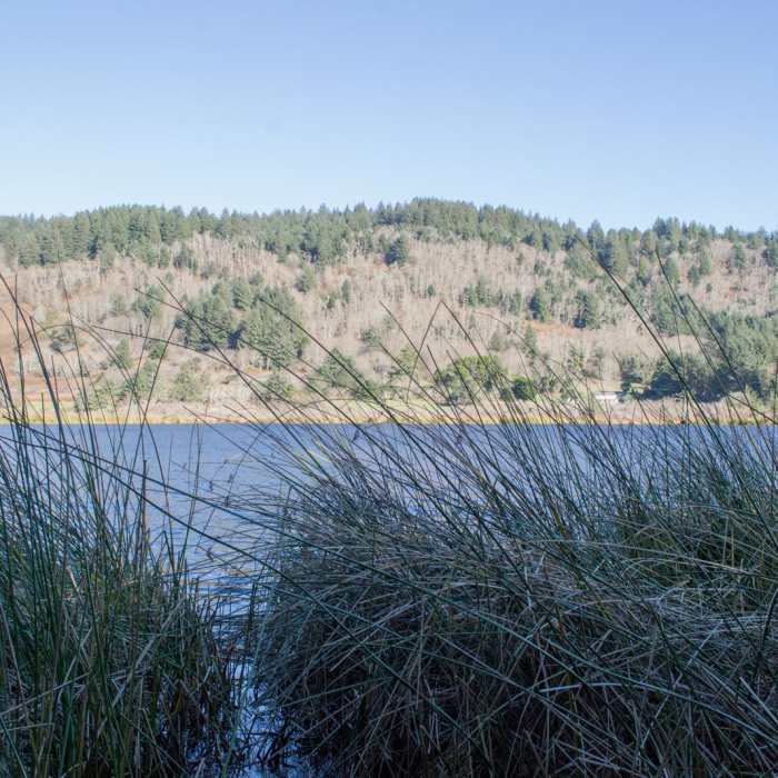 Near Lily Lake Trail