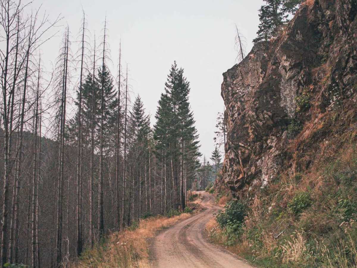 Timber Creek trail photo
