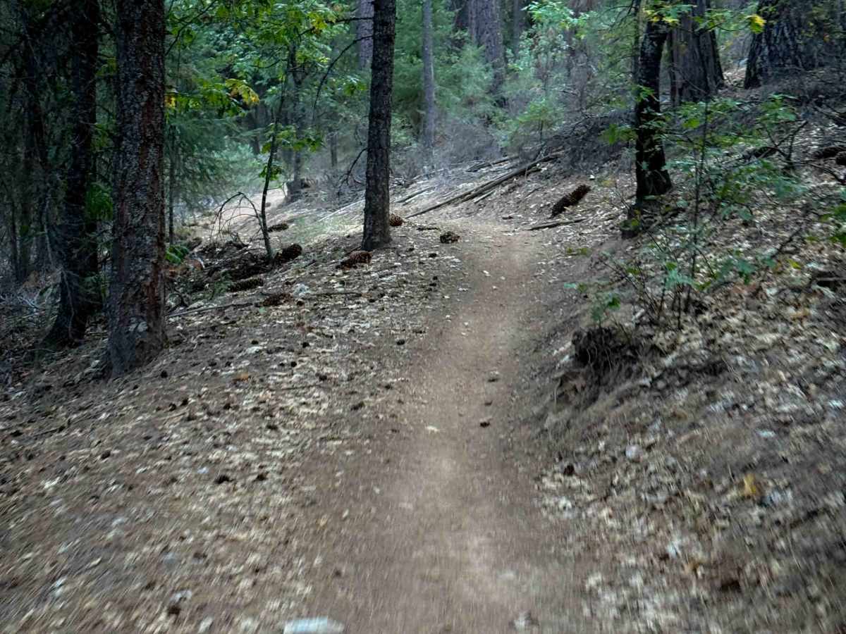 Fireline photo 5