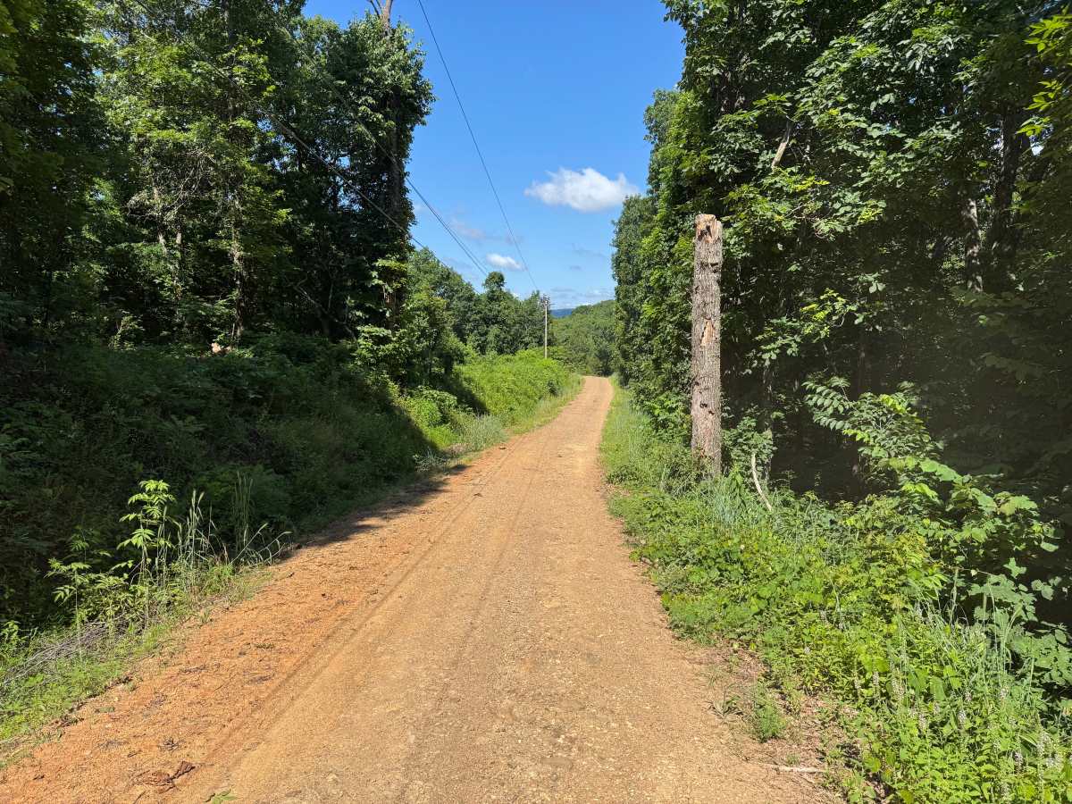 County Road 419 photo 3