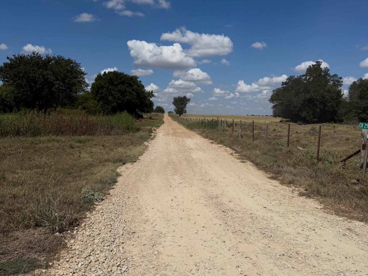 County Road 250 Loop photo 6