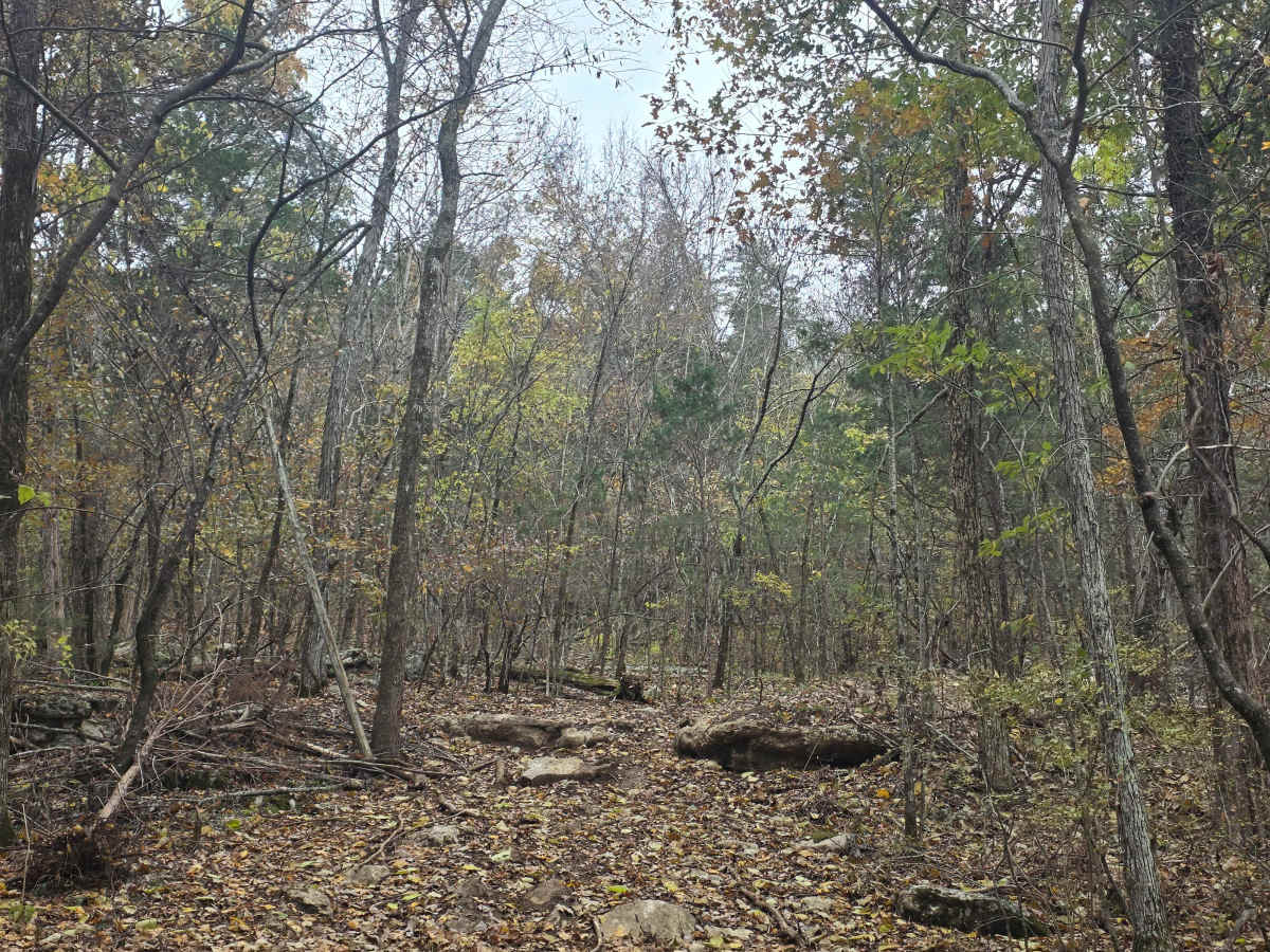 Spectator Hill #1 photo 3
