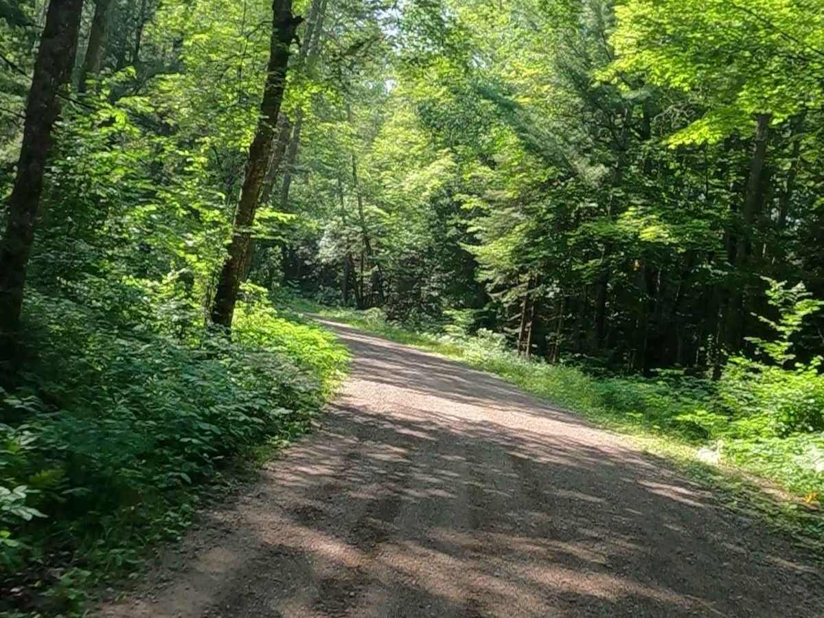 Little Black River - FSR 2233 photo 6