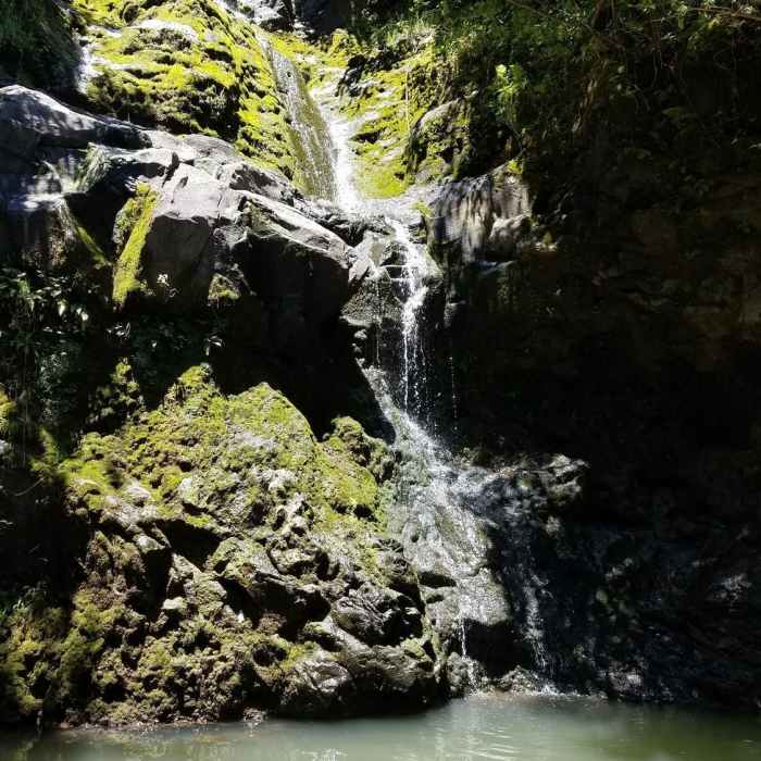Upper falls pool Near Waimano Falls