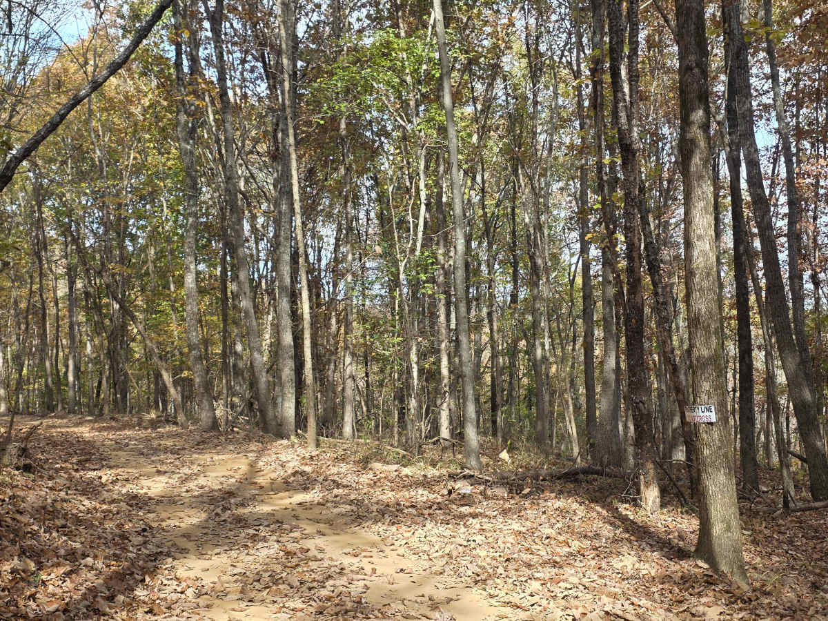 Bottom Of Bowl Loop photo 2