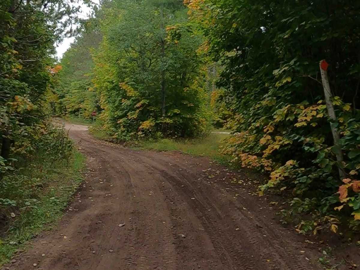 Fisher Road - FS 3005 (ORV Route Ai) photo 5