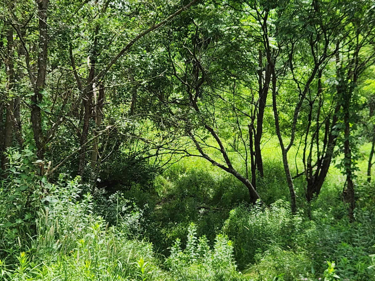 Trail 8F - Rock Run Recreation Area photo 4