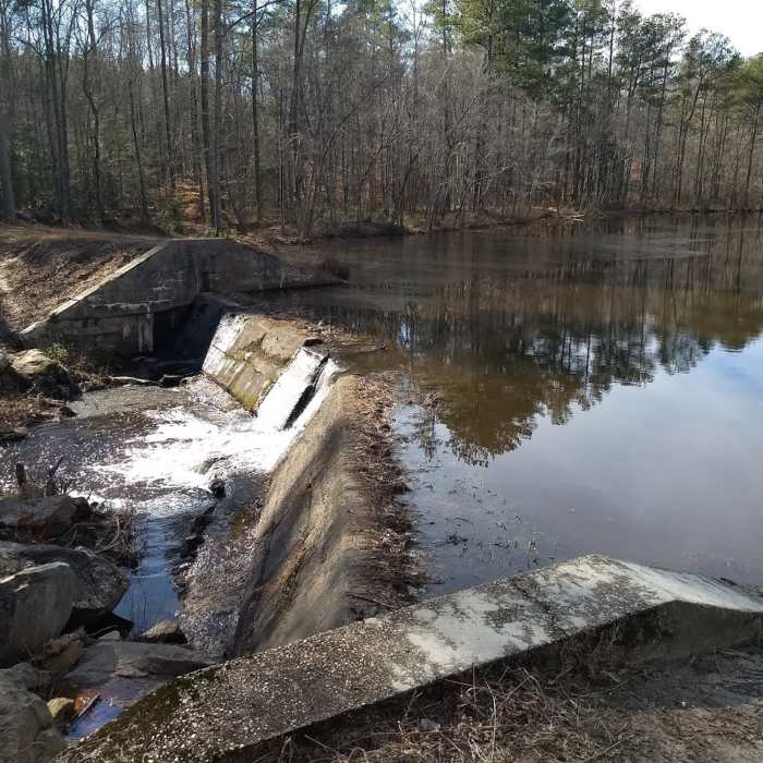 Near Bright Hope Trail and Otter Lick Loop