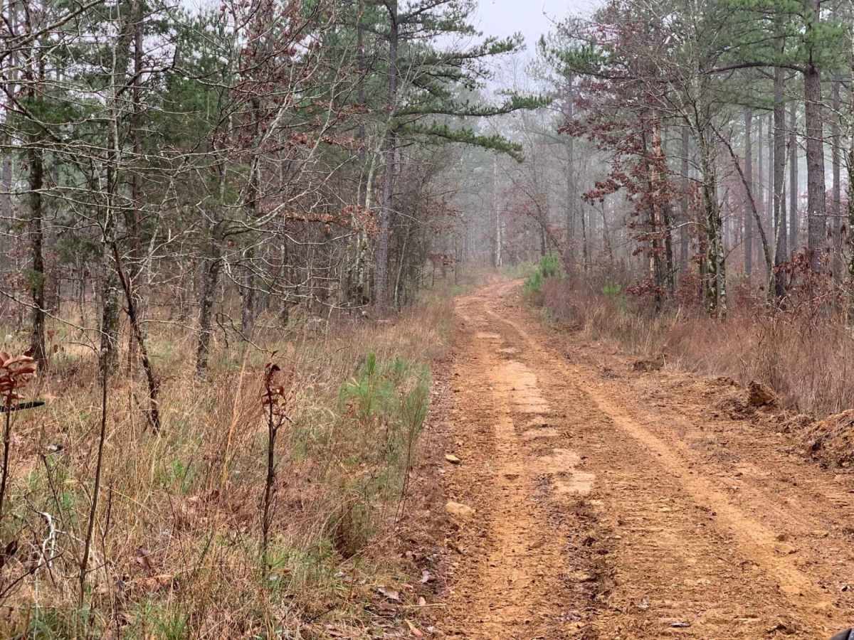 Fish Fry Creek Road photo 3