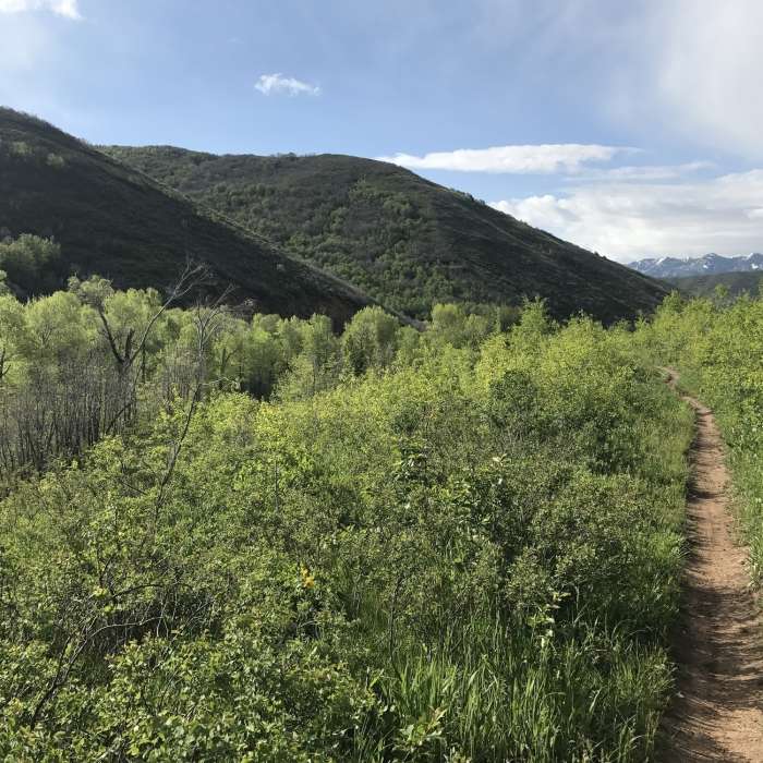Scenic views on the Mormon Pioneer Trail. Near Mormon Pioneer Trail