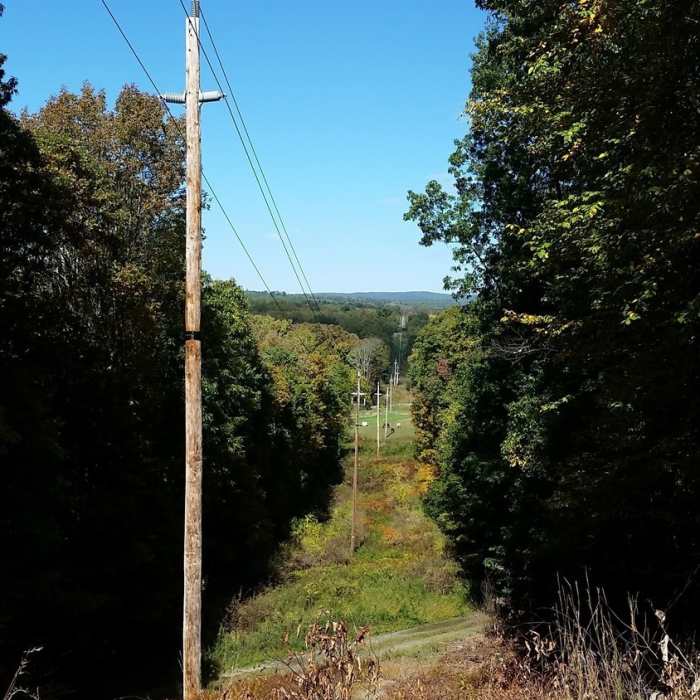 Power lines. Near Paulinskill Valley Trail