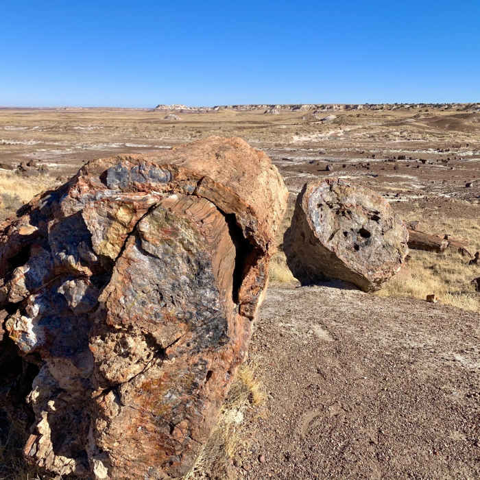 Near Crystal Forest Trail