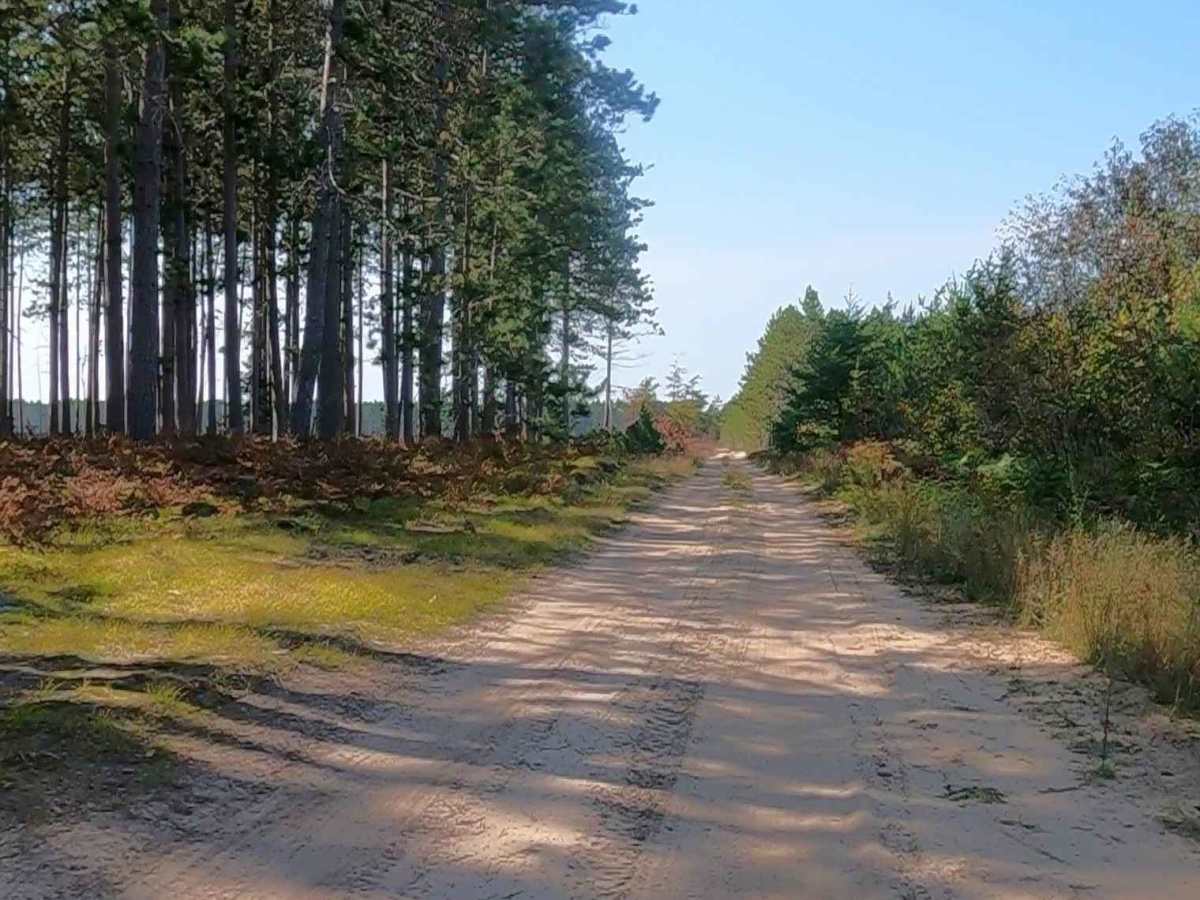 Caffey Truck Trail (ORV Route AI)  photo 2
