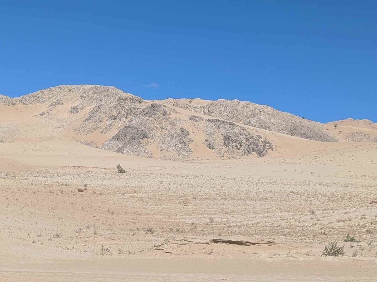 BLM 206 photo 4