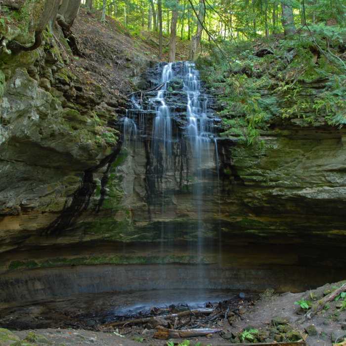 Near Escarpment Trail