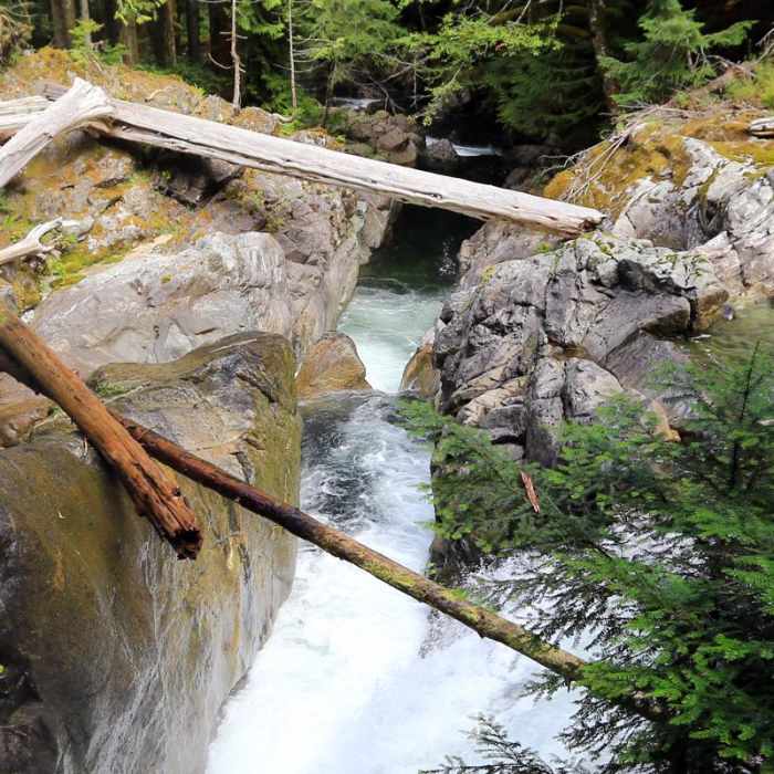 Near Deception Falls Loop