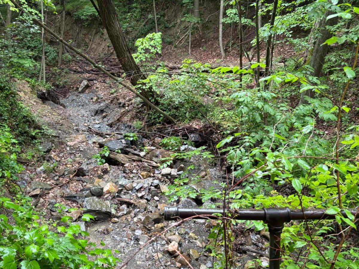 Lower Road photo 3