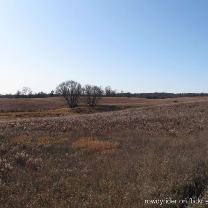 Prairie at Crow Hassan Near Crow Hassan Loop