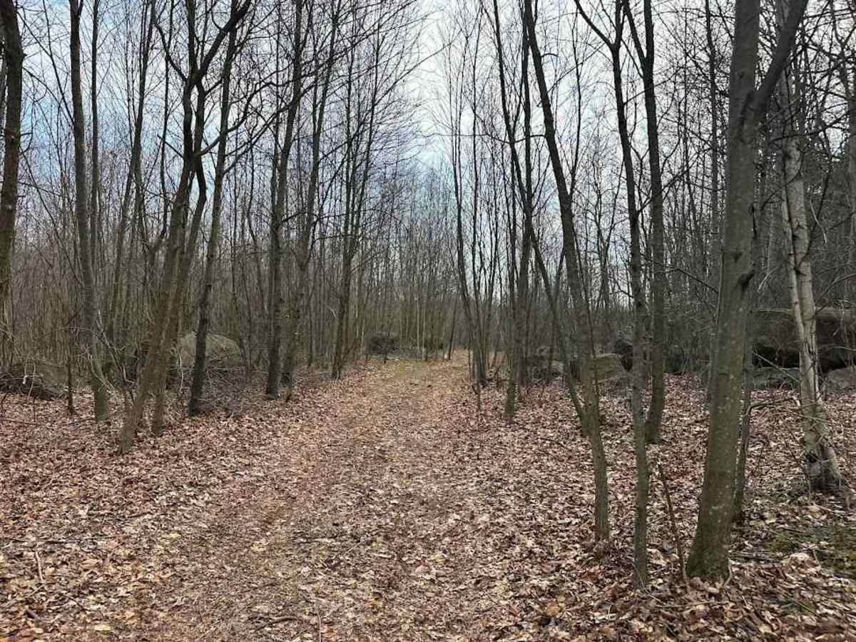 ATV Cut Through trail photo
