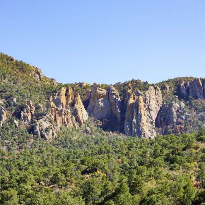 Near Chisos Basin Loop