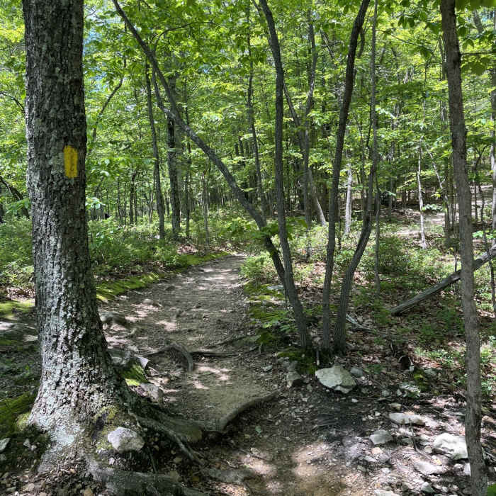 Near Mill Mountain Park Loop