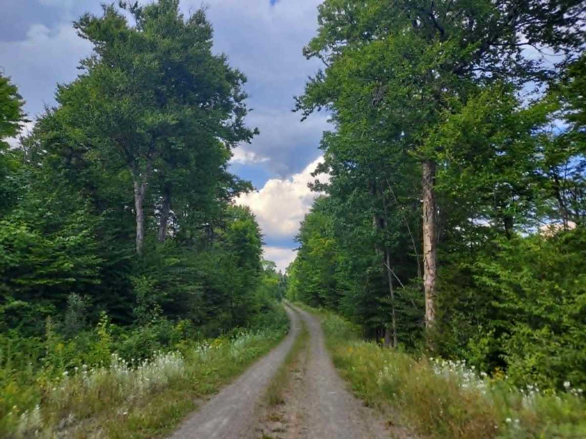SCOPAN Connector trail photo
