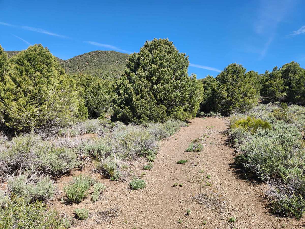 Rawe Peak East Trail photo 5